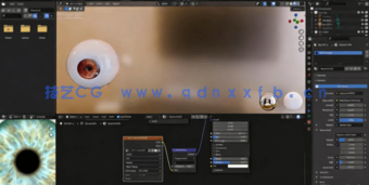 Blender逼真眼睛绑定与动画制作视频教程(图3)