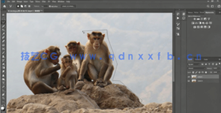 AI和PS结合创建图形设计后期编辑修饰视频教程(图5)