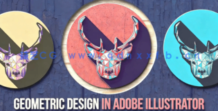 【中文字幕】AI创建几何设计图案阴影效果工作流程视频教程(图3)