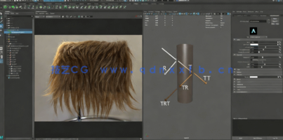 Maya中XGen角色毛发实例制作大师级视频教程(图2)