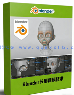Blender头部低多边形建模技术视频教程(图1)