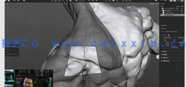 【中文字幕】Topogun 3D角色拓扑结构核心技术训练视频教程(图5)