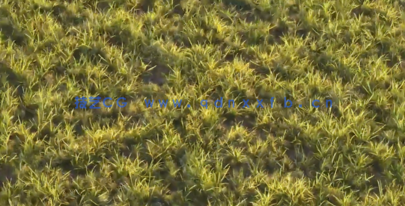 Maya中Mash逼真草坪实例制作训练视频教程(图4)