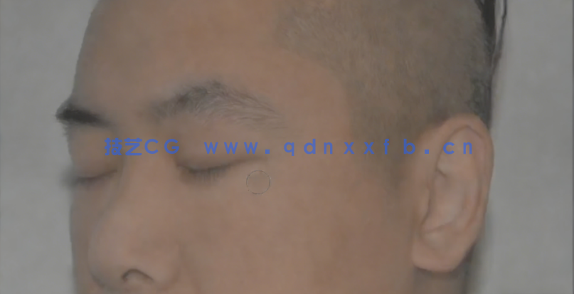 Maya女性逼真肖像纹理模型完整训练视频教程(图2)