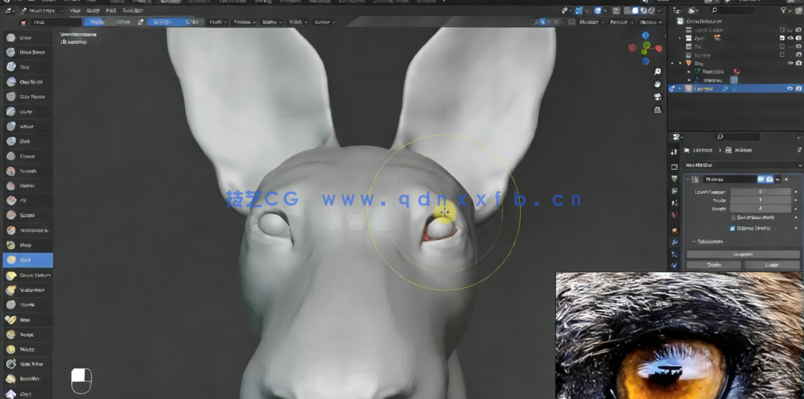 Blender非洲野狗逼真动物完整制作流程视频课程 (图3)