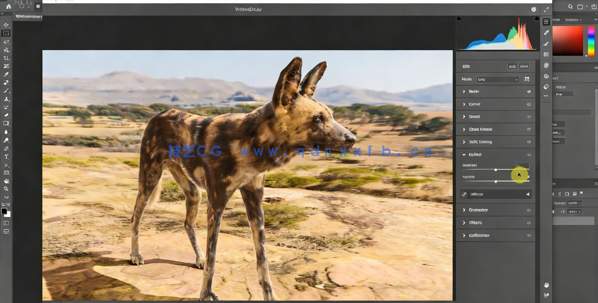Blender非洲野狗逼真动物完整制作流程视频课程 (图5)