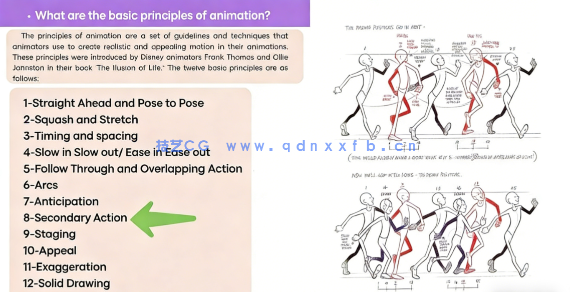 Blender动画制作初学者入门训练视频教程(图4)