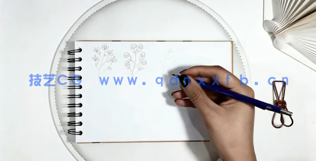 【中文字幕】AI初学者花卉植物重复图案平面插图设计视频教程(图3)