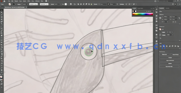  Illustrator初学者基本手绘草图创建矢量插图过程技术视频教程(图4)