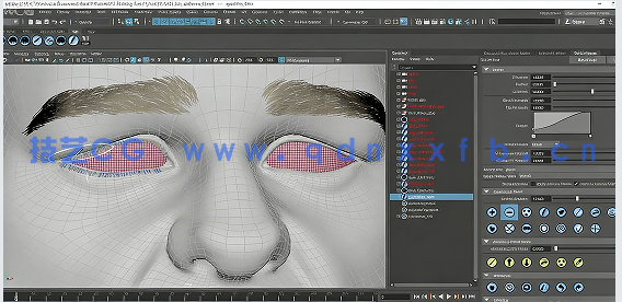 Yeti角色头发毛发全面核心技术训练视频教程(图1)