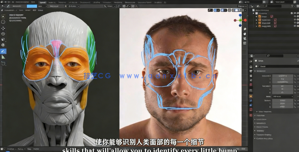 Blender逼真肖像面部骨骼肌肉解剖学制作视频教程 (图3)