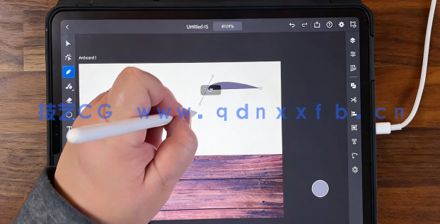  iPad版AI创建花卉插图实例训练教程 (图5)