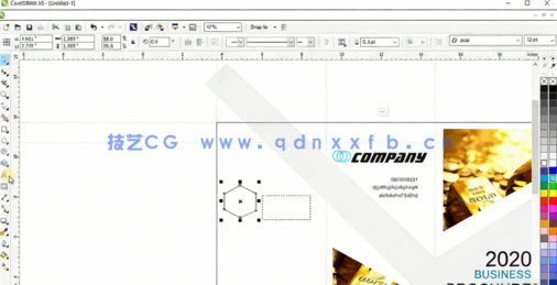  CorelDraw初学者创建图形设计视频教程(图4)