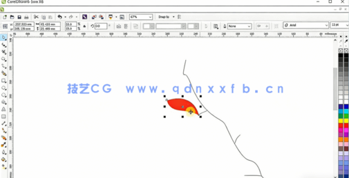  CorelDraw初学者创建图形设计视频教程(图5)