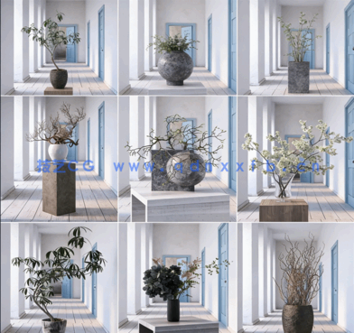 室内植物Archmodels Vol.260(图2)