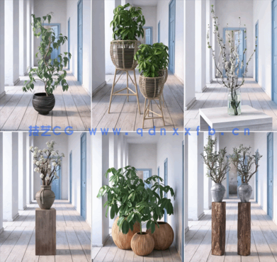 室内植物Archmodels Vol.260(图3)