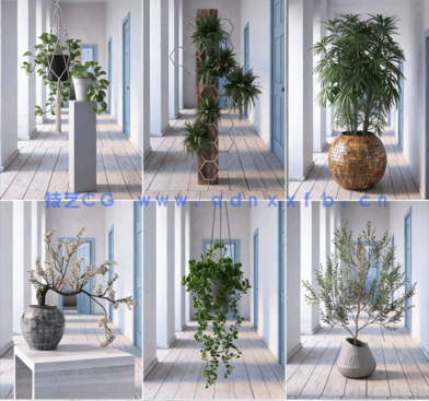 室内植物Archmodels Vol.260(图4)