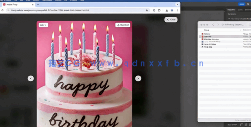 【中文字幕】Adobe Firefly自动化智能图像处理技术视频教程(图4)