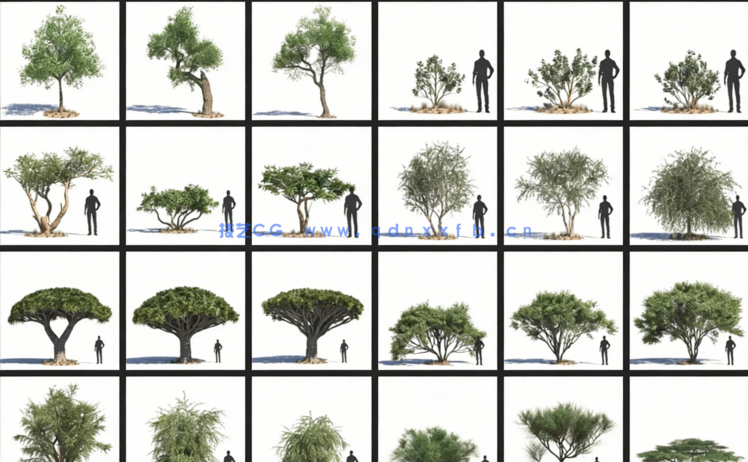 沙漠植物模型Evermotion – Archmodels Vol.276(图2)