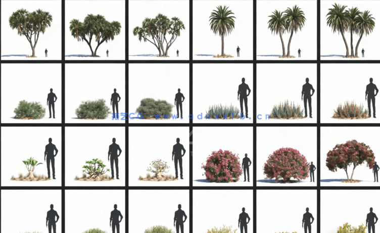 沙漠植物模型Evermotion – Archmodels Vol.276(图3)