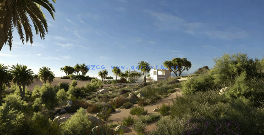 沙漠植物模型Evermotion – Archmodels Vol.276(图4)