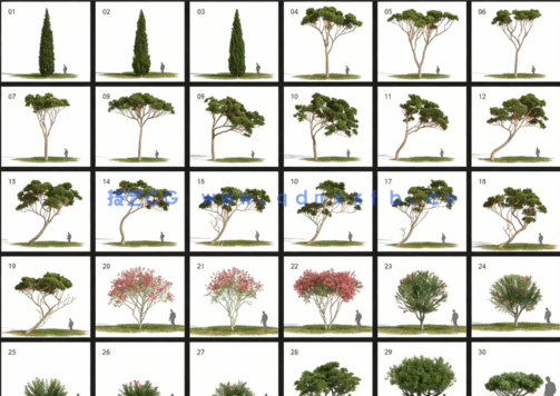 地中海树木Evermotion – Archmodels Vol.269(图4)