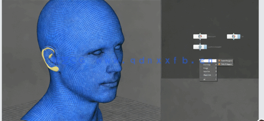 节点拓扑软件R3DS Wrap模型扫描拓扑视频教程(图5)