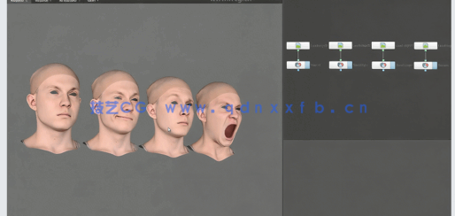 节点拓扑软件R3DS Wrap模型扫描拓扑视频教程(图3)