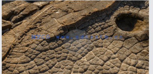 RenderMan逼真照片级环境渲染技术视频教程(图5)