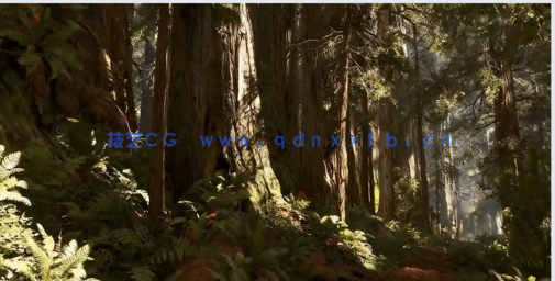 Reality Capture真实捕捉照片创建3D模型视频教程(图3)