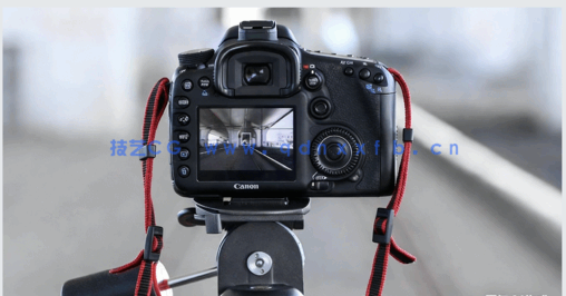 Reality Capture真实捕捉照片创建3D模型视频教程(图5)