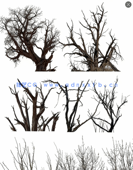 高清枯树免抠素材PHOTOBASH – Dead Trees(图4)