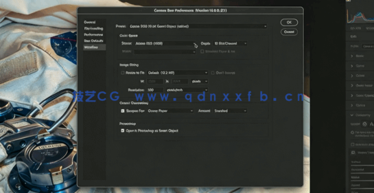  Camera Raw照片编辑基础工具实例工作流程技术视频教程(图2)