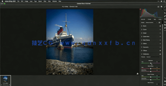  Camera Raw照片编辑基础工具实例工作流程技术视频教程(图3)