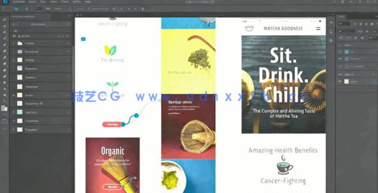 Adobe XD完全交互式内幕技巧视频教程(图4)