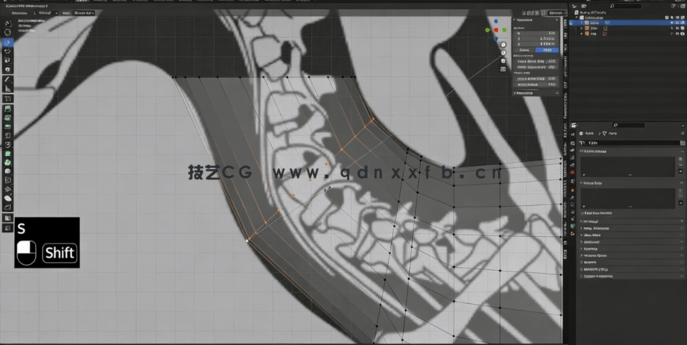  Blender逼真棘龙模型完整制作流程视频教程(图2)
