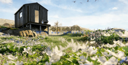 草地花朵植物3D模型 Plants Volume 37(图5)