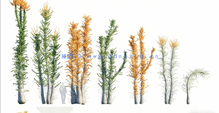 Bundle 42 - 墨西哥植物 02(图1)