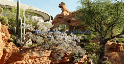 Bundle 42 - 墨西哥植物 02(图4)