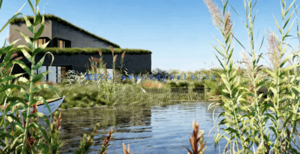 植物草3D模型 Globe Plants – Bundle 26 – Ornamental Grasses 02(图1)