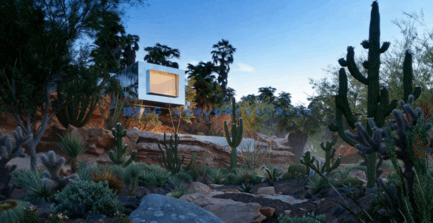 Bundle 34 - Mexican Plants (3D Model)(图2)