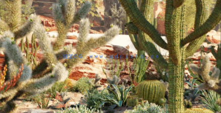 Bundle 34 - Mexican Plants (3D Model)(图5)