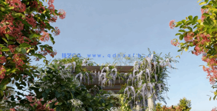 藤蔓植物3D模型 Globe Plants – Bundle 06 (3DS MAX格式)(图4)