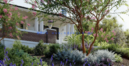 庭院植物树木3D模型 Globe Plants – Bundle 12 (3DS MAX格式)(图4)