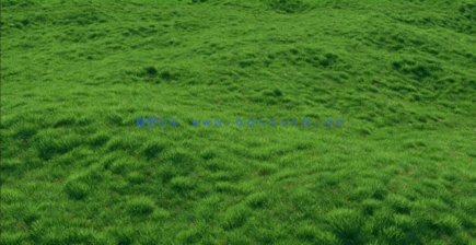 Globe Plants – Bundle 13 – 草与草坪 (3D模型)(图5)