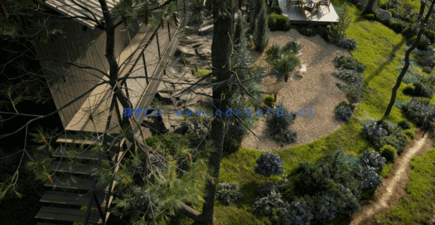 针叶树花园Globe Plants – Bundle 10 – Conifer Garden(图3)