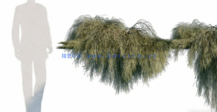 花园植物 Globe Plants – Bundle 04 – Garden Plants 02(图2)