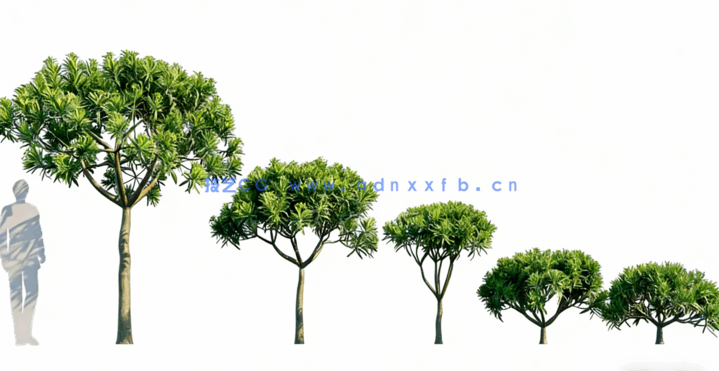 花园植物 Globe Plants – Bundle 04 – Garden Plants 02(图4)