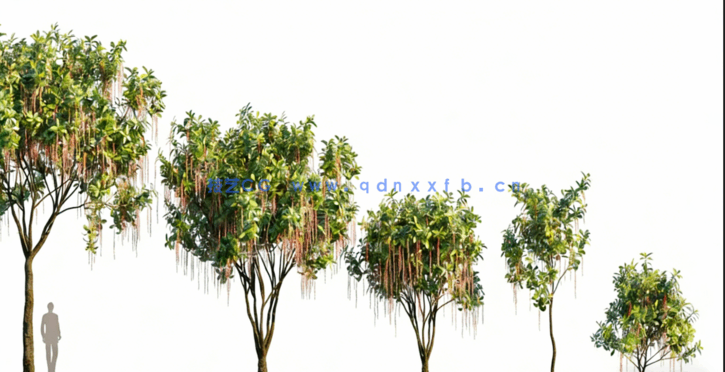 热带植物 Globe Plants – Bundle 05 – Tropical Plants(图3)