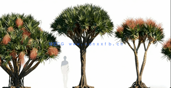 热带植物 Globe Plants – Bundle 05 – Tropical Plants(图5)